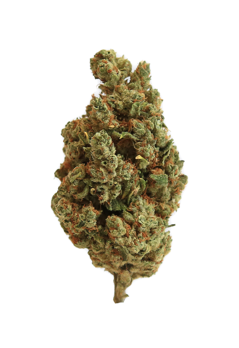 Amnesia Haze fleur CBD Cannarome
