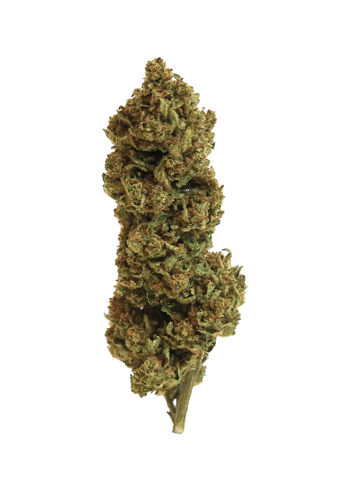 Orange bud fleur CBD Cannarome