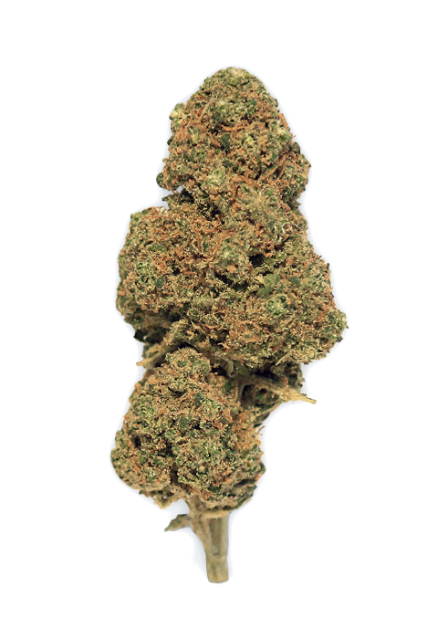 Chocolope Fleur CBD Cannarome