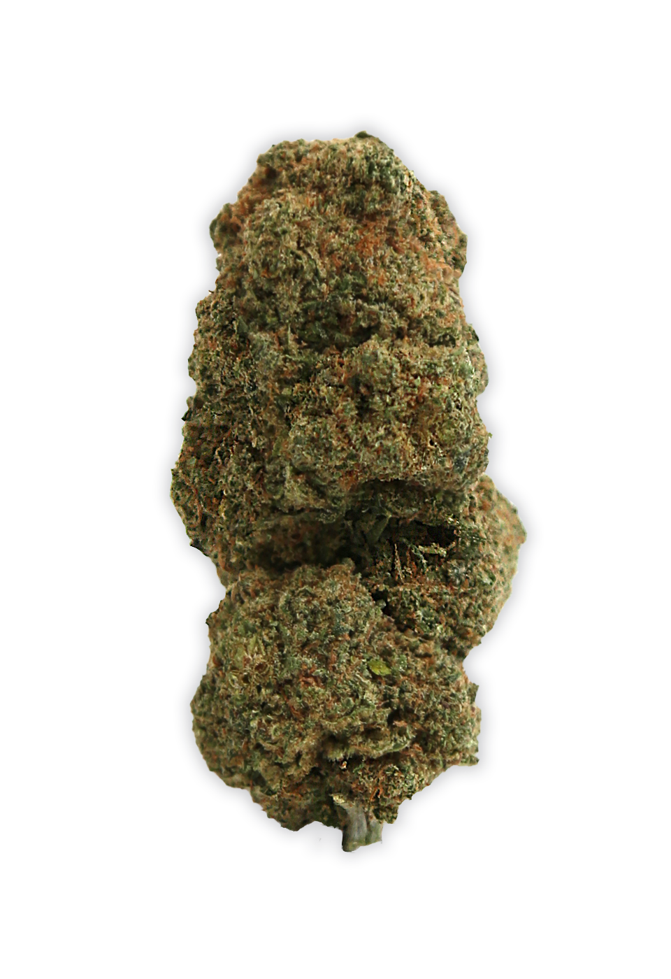 Gelato fleur CBD Cannarome