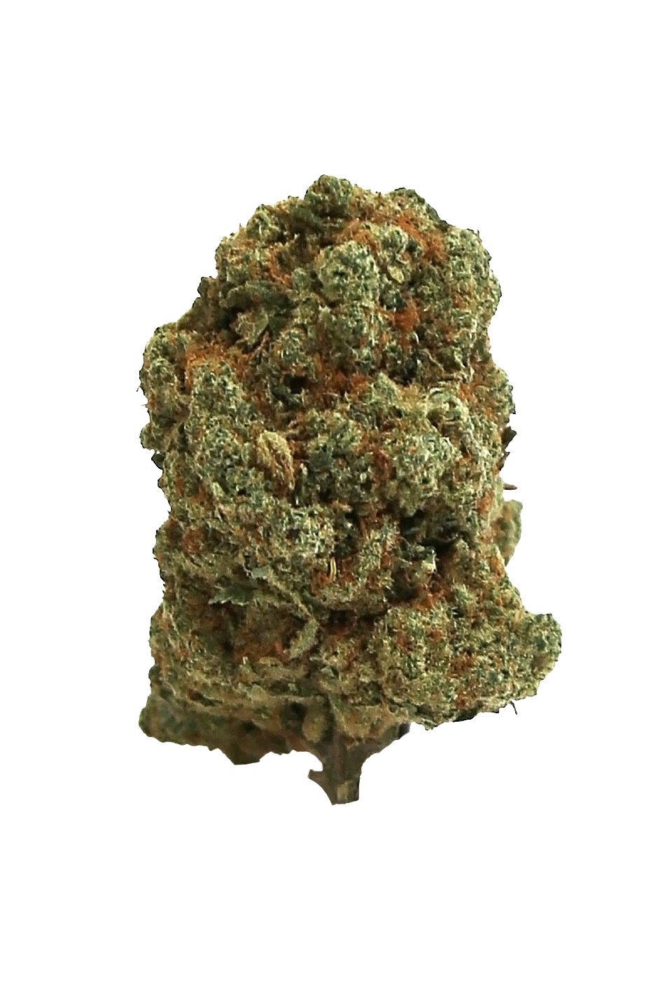 Silver haze fleur CBD Cannarome